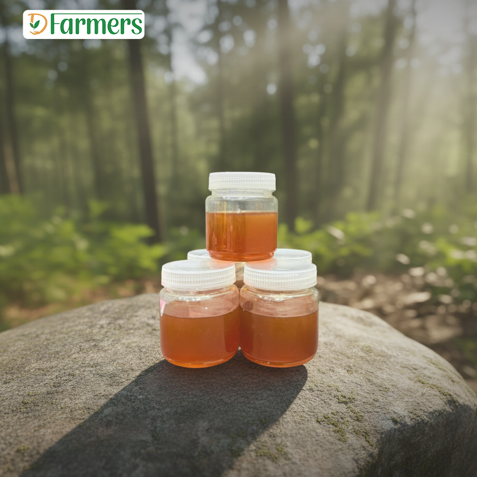 সুন্দরবনের মধু/Sundarban Honey