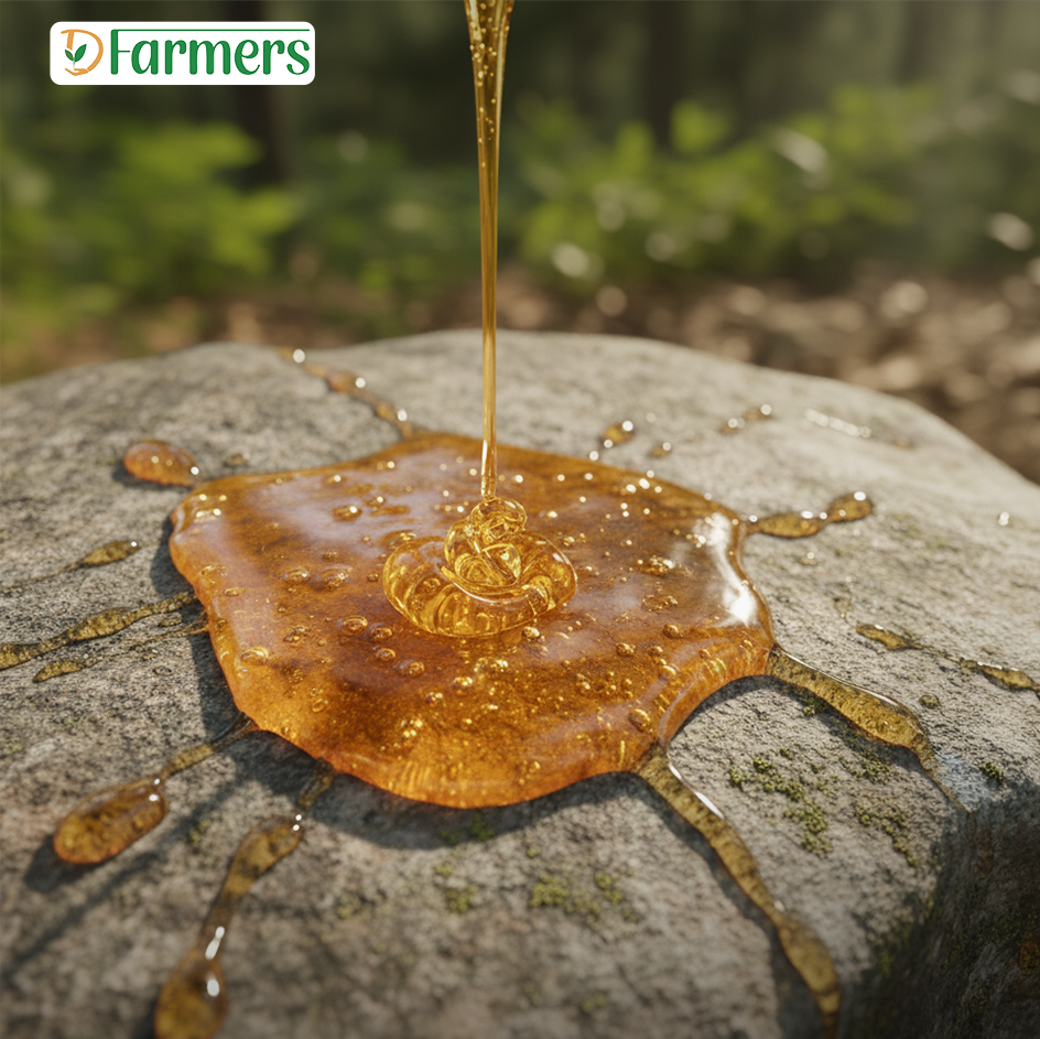 কূল ফুলের মধু/ Kull Flower Honey