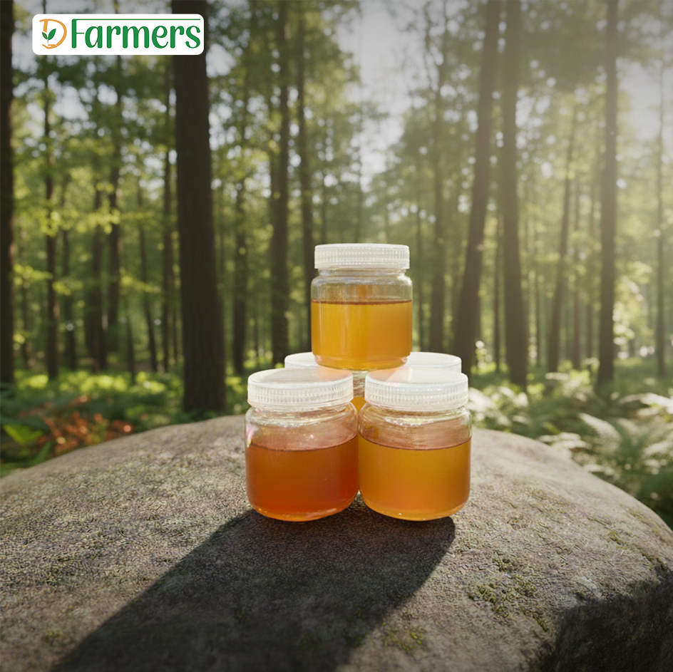 কূল ফুলের মধু/ Kull Flower Honey