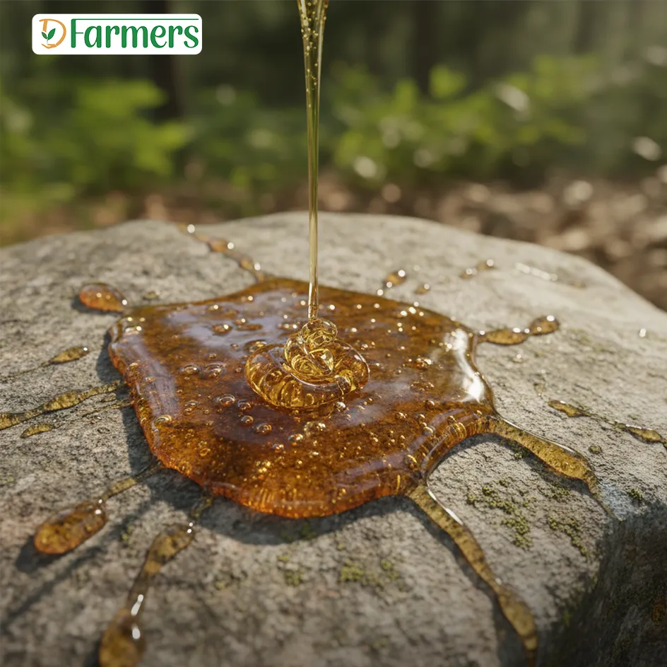 সুন্দরবনের মধু/Sundarban Honey